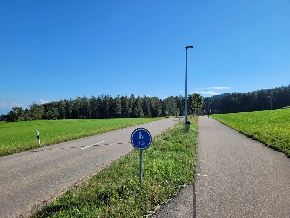 Separated and asphalted cycling/pedestrian path along a road